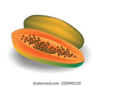 Copo-espaço de fruta papaia isolado no fundo branco. Ilustração vetorial de Carica papaya.