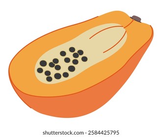 Papaya fruit, cut half with black seeds. Exotic tropical food, fresh ripe sweet pawpaw cross-section piece. Natural vitamin healthy eating. Flat vector illustration isolated on white background