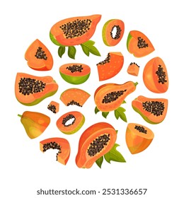 Seção de corte de frutas de mamão com sementes e modelo de vetor de polpa de laranja