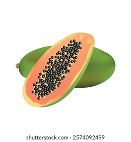 Papaya fruit and cut papaya fruit vector illustration isolated on white background.