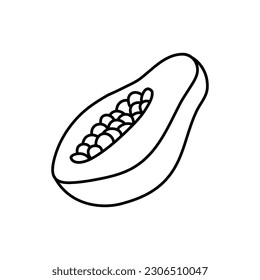 Papaya fruit in doodle style, linear art. Design element isolated on white background. Vector illustration
