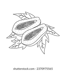 Papaya fruit in doodle style, linear art. Design element isolated on white background.