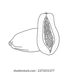 Papaya fruit in doodle style, linear art. Design element isolated on white background.