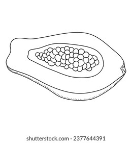 Papaya fruit in doodle style, linear art. Design element isolated on white background.