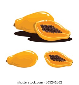 Papaya Fruit Fresh Realistic Vector Illustration