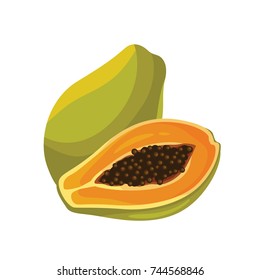 Papaya Fruit Fresh Realistic Vector