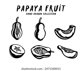 Papaya fruit hand drawn concept on white background