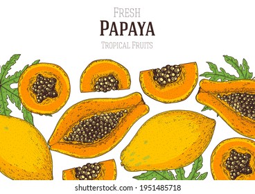 Diseño del paquete dibujado a mano con fruta papaya. Ilustración vectorial. Diseño, paquete, ilustración de folleto. Diseño de empaque. Plantilla de diseño de frutos de papaya dibujados a mano. Ilustración vectorial de alimentos frescos orgánicos.