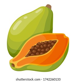 Papaya fruit icon, tasty fresh tropical dessert. Exotic gourmet vegan food. Vector papaya cartoon illustration isolated on white background
