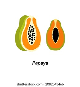 Papaya fruit icon vector image