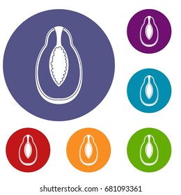 Papaya fruit icons set in flat circle red, blue and green color for web