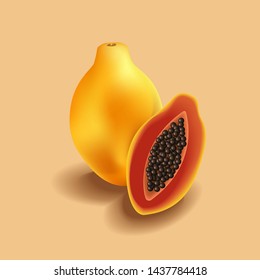 Papaya Fruit illustration vector style