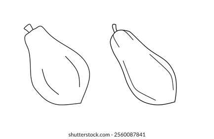 papaya fruit outline vector illustration. vector line drawing forming papaya logo