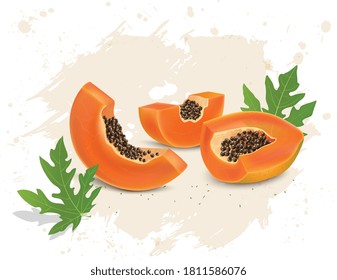 Papaya fruit pieces and slice vector illustration