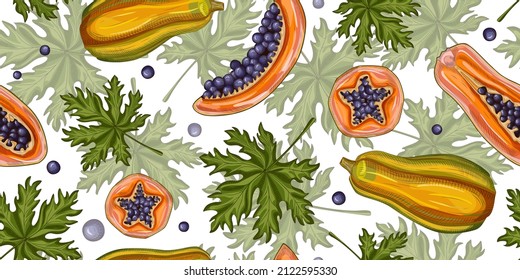 Patrón de frutos de papaya sin fisuras sobre fondo blanco.Plantas tropicales retro en estilo de grabado. Textura de fruta exótica dibujada a mano para tela, papel pintado, textil, papel impreso, papel envolvente. Ilustración vectorial.