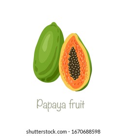 Papaya fruit, set of pawpaw, paw paw, slice and whole juicy fruit vector illustration