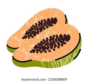 papaya fruit, simple illustration in abstract flat sketch drawing style, healthy food