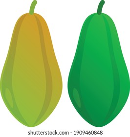 Papaya Fruit vector art and illustration