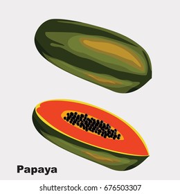 papaya fruit vector illustration