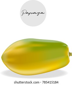 Papaya fruit vector illustration.