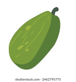 Papaya fruit vector illustration, buah pepaya isolated on white background, carica papaya clip art image