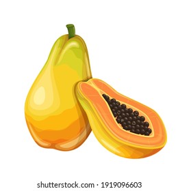 Papaya fruit vector illustration in cartoon style. Healthy nutrition, organic food, vegetarian product.