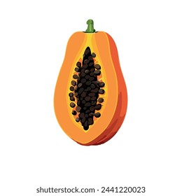 Papaya Fruit Vector Illustration Cut in Half