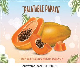 Papaya fruit vector illustration with half piece of papaya fruit and slices