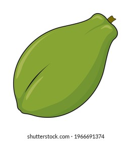 papaya fruit vector illustration isolated white background