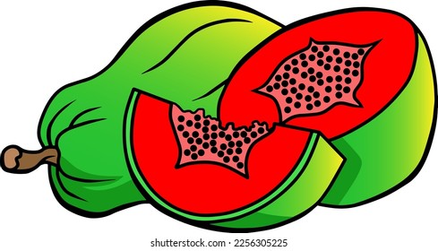papaya fruit vector illustration isolated on white background