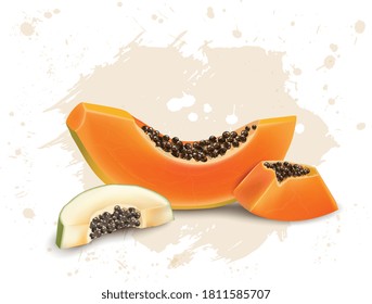 Papaya Fruit vector illustration with papaya slices and seeds