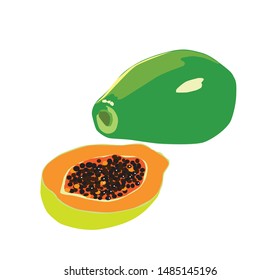 papaya fruit, vector illustration, white background