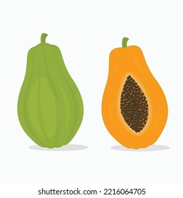 Ilustración vectorial de frutas papaya entera y media en forma de caricatura