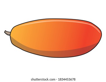 papaya fruit vector illustration,isolated on white background for education,fruits top view