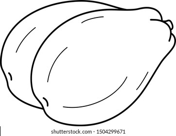 Papaya fruit. Vector outline icon.