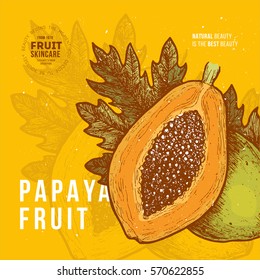 Papaya fruit vintage design template. Botanical  food illustration. Engraved papaya. Vector illustration