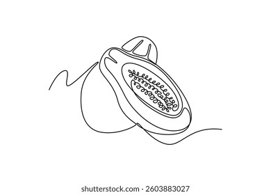 papaya. Fruits concept. Single line draw design. Vector graphic illustration
