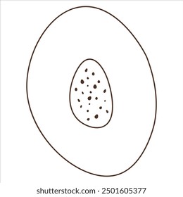 Papaya fruits. Vector coloring food in cartoon hand-drawing style