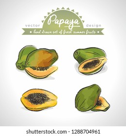 Papaya. Hand drawn collection of vector sketch detailed fresh fruits. Isolated	