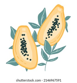 Papaya hand drawn. Vector colorful set. Tropical and exotic fruit with leaf. Simple positive drawing. Ideal for print, wall art, poster.