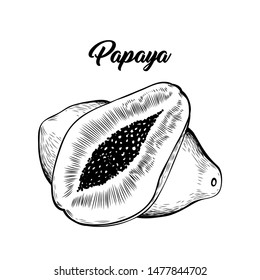 Papaya hand drawn vector illustration. Delicious exotic fruit, sweet tropical food with lettering. Vegetarian dessert, natural juice ingredient ink pen drawing. Vitamin diet banner design element
