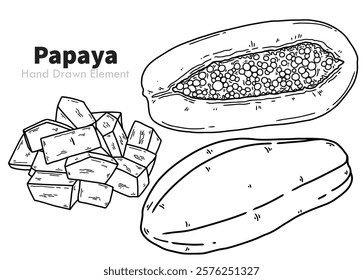 Papaya hand drawn vector, with whole fruit, plant, agriculture, harvest, packaging design, ornament, health