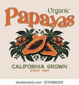 Gráficos de Vector dibujados a mano de papaya, gráfico de papaya, diseño de impresión de fruta dibujado a mano vintage, ilustraciones de impresión de fruta, diseño de camiseta de verano, flores, camisetas de mujeres, tops, diseño de impresión de fruta de sudadera