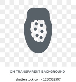 Papaya icon. Papaya design concept from Fruit and vegetables collection. Simple element vector illustration on transparent background.