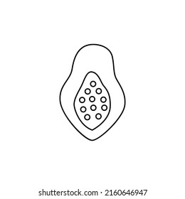 papaya icon in line style icon, isolated on white background