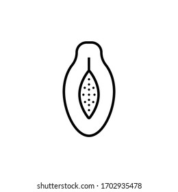 papaya icon outline vector illustration. isolated on white background