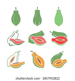 Papaya icon set vector on trendy design