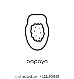 papaya icon. Trendy modern flat linear vector papaya icon on white background from thin line Fruit and vegetables collection, outline vector illustration
