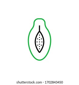 papaya icon two color line style vector illustration. isolated on white background
