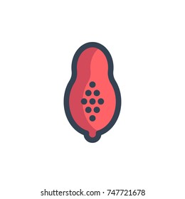 papaya icon vector. papaya icon filled outline style design